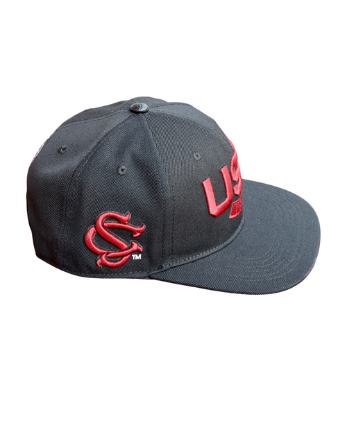 PRS Interlocking SC Wingspan Hats – Miss Cocky