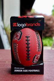 GO South Carolina Logo Football