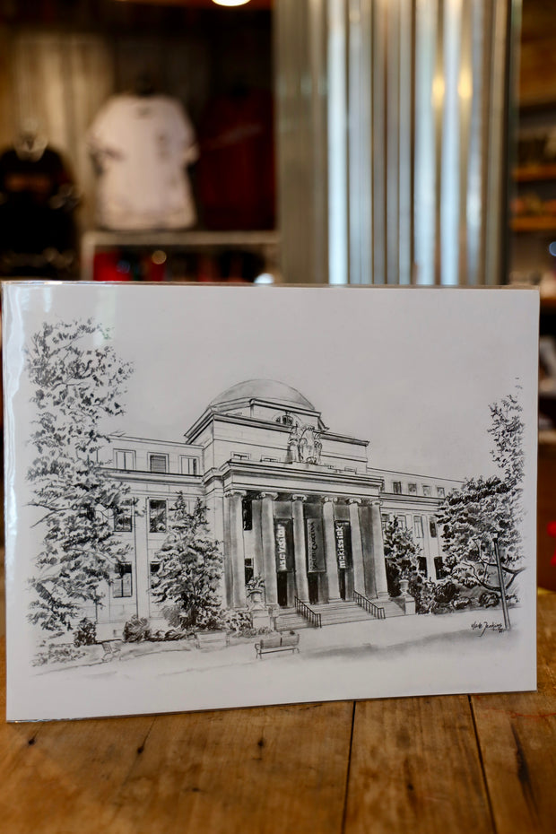 VG South Carolina 11x14 Campus Print