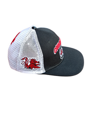 PRS Carolina Block C Hat