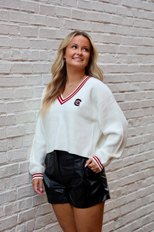 ZZ V-Neck Block C Sweater