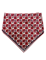 ES South Carolina Hair Scarf