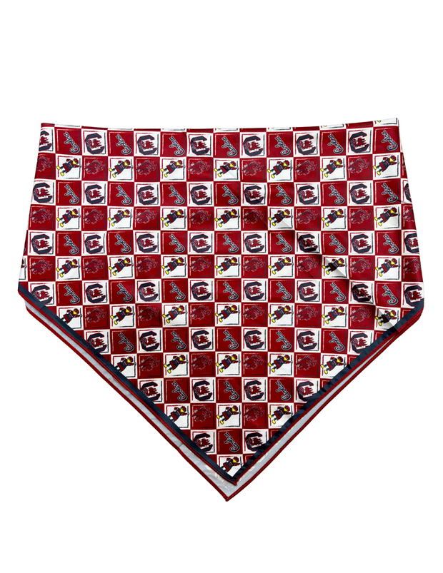 ES South Carolina Hair Scarf